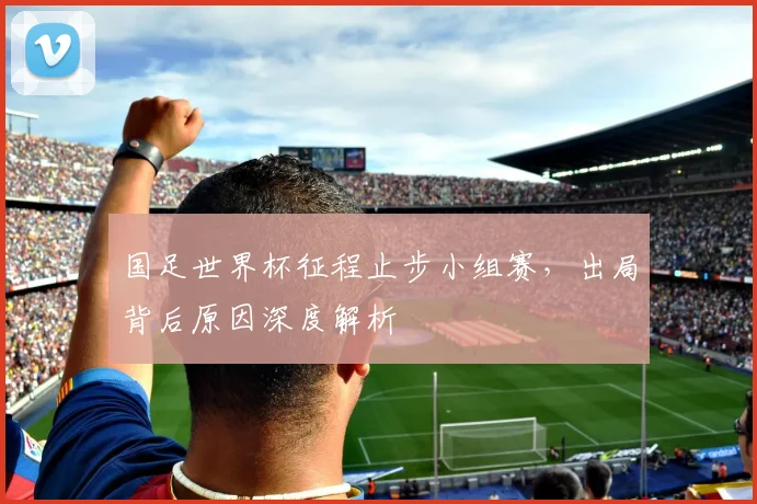 国足世界杯征程止步小组赛,出局背后原因深度解析
