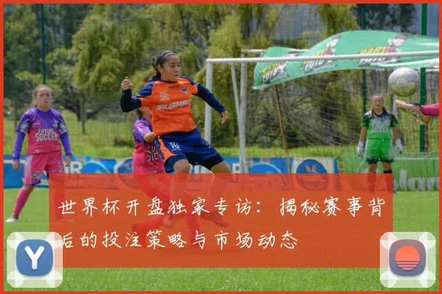 世界杯开盘独家专访：揭秘赛事背后的投注策略与市场动态