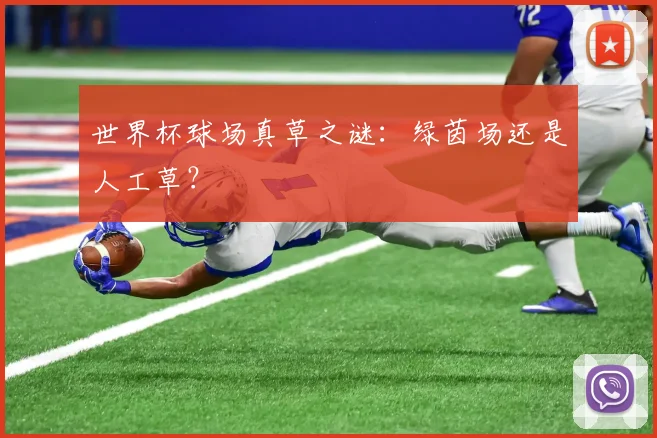 世界杯球场真草之谜：绿茵场还是人工草？