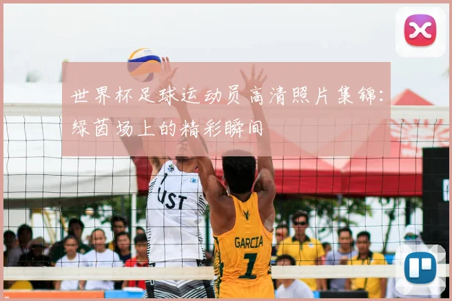 世界杯足球运动员高清照片集锦：绿茵场上的精彩瞬间