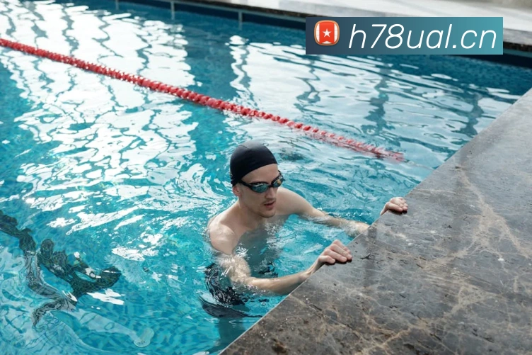 开云手机入口官网APP 封面图